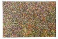 NOLA FISHER NAPANGARDI (Australia, Aboriginal, 1958- ) - 2