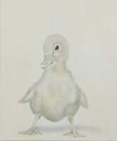 HELEN RUTH WRIGHT (Australia, 1956- )