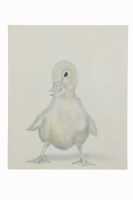HELEN RUTH WRIGHT (Australia, 1956- ) - 2