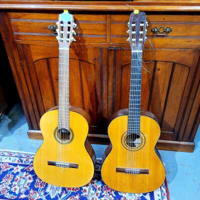ACOUSTIC GUITARS