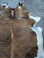 COW HIDE - 2