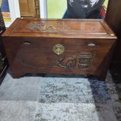 CAMPHORWOOD TRUNK