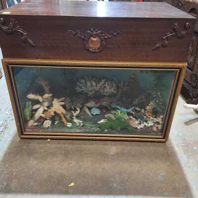 DIORAMA