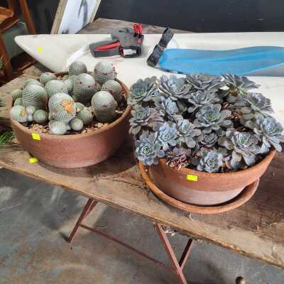 TABLE POTS