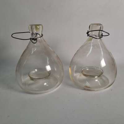 FLY TRAPS