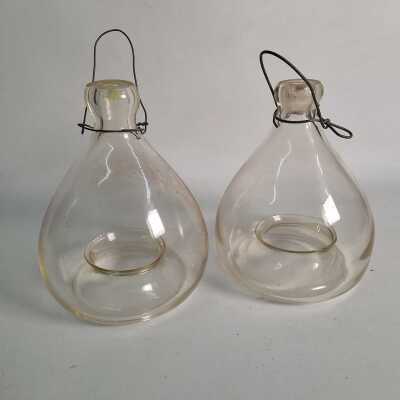 FLY TRAPS