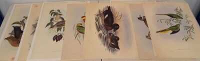 JOHN GOULD