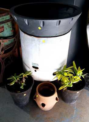 RUSTIC LOT