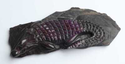 CARVED CROCODILE