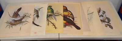JOHN GOULD