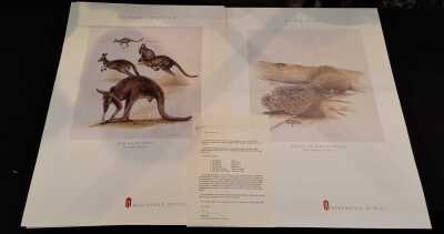 AUSTRALIAN NATIVE ANIMAL POSTERS