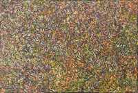 NOLA FISHER NAPANGARDI (Australia, Aboriginal, 1958- )
