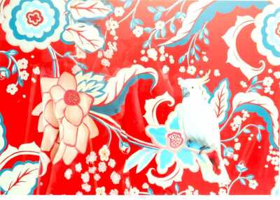EMMA HACK (Australia 1972-)