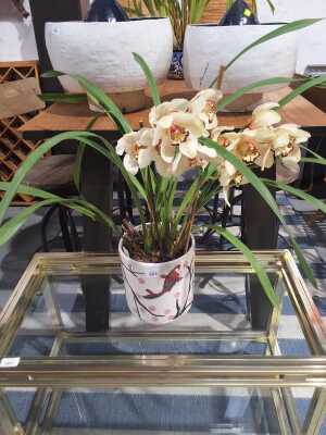 ORCHID
