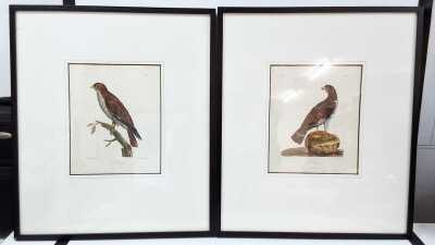 FRAMED PRINTS