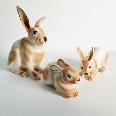 BUNNY RABBITS