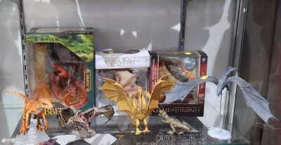 DRAGONS & DINOSAURS