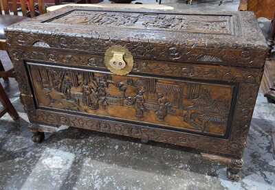 CAMPHOR WOOD TRUNK