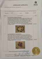 GOLD NECKLACE SUITE - 3