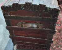 TRUNK - 2