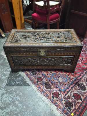 CAMPHORWOOD TRUNK