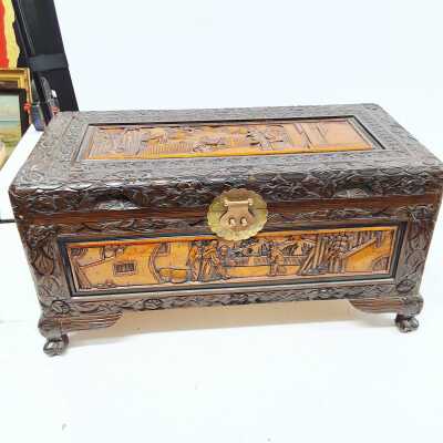 CAMPHOR WOOD TRUNK