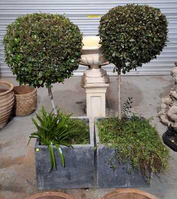 TOPIARY