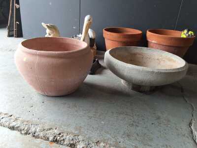 PLANT POTS