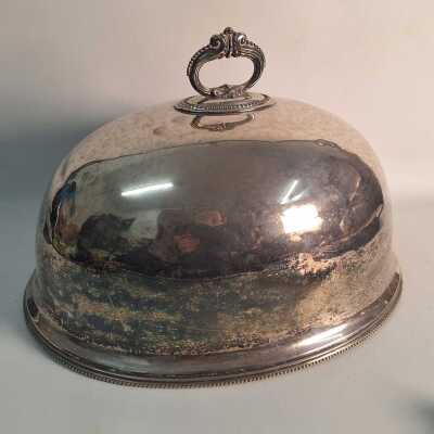 FOOD COVER