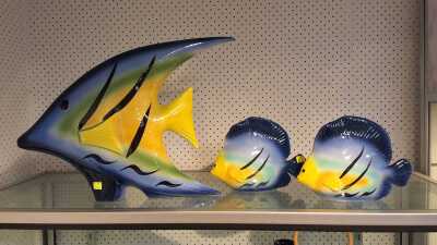 FISH