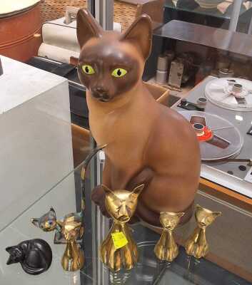 CATS