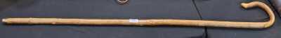 SHEPHERD'S CROOK