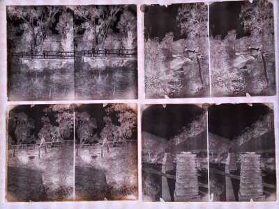 GLASS PLATE NEGATIVES