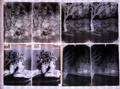 GLASS PLATE NEGATIVES