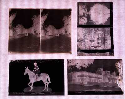 GLASS PLATE NEGATIVES