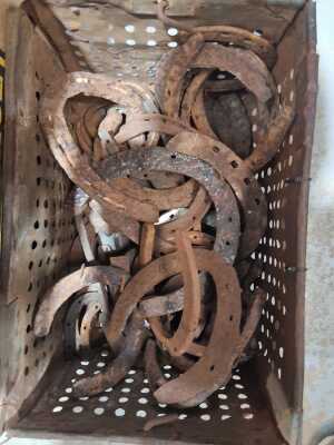 HORSESHOES