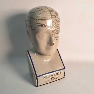 PHRENOLOGY HEAD