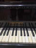 BABY GRAND PIANO - 2