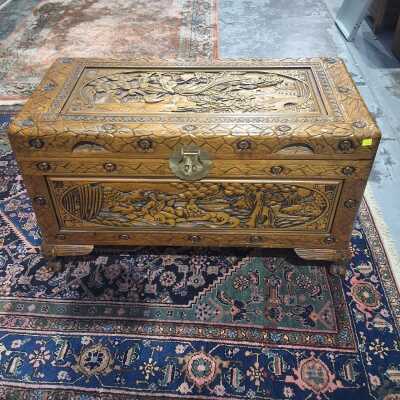 CAMPHORWOOD TRUNK