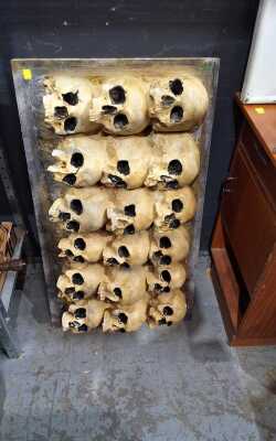 WALL OF SKULLS