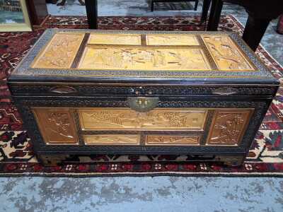 CAMPHORWOOD TRUNK