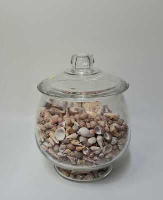 SHELLS