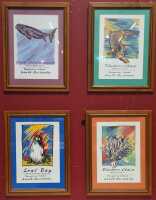 KANGAROO ISLAND PRINTS