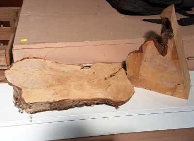HUON PINE