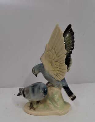 PIGEONS