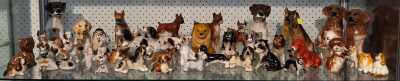 DOGS DOGS DOGS!