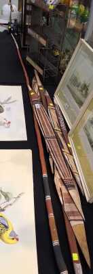 ABORIGINAL SPEARS