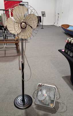FANS