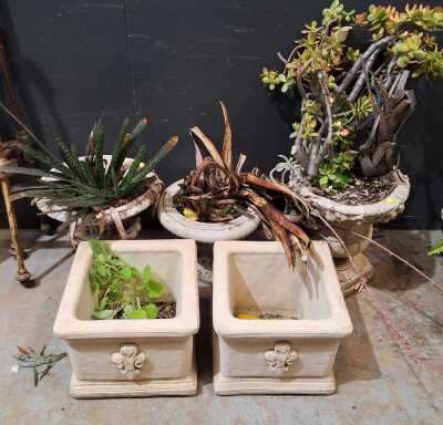 GARDEN PLANTERS