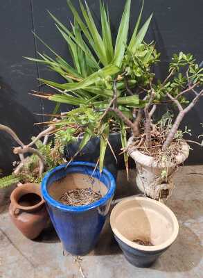 GARDEN .LOT